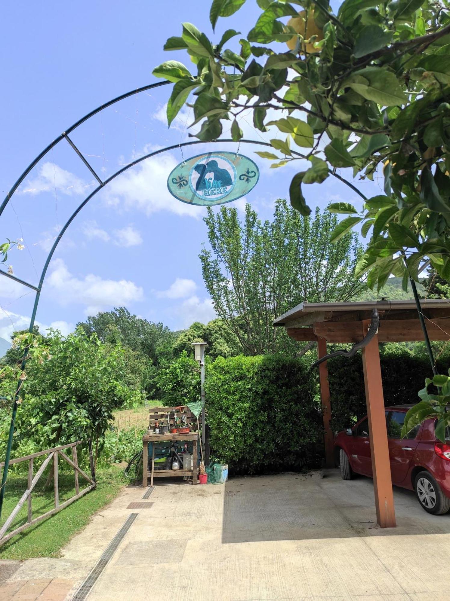 Caledonia B&B Mercato San Severino Exteriér fotografie