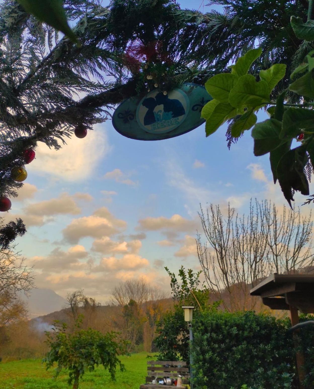 Caledonia B&B Mercato San Severino Exteriér fotografie